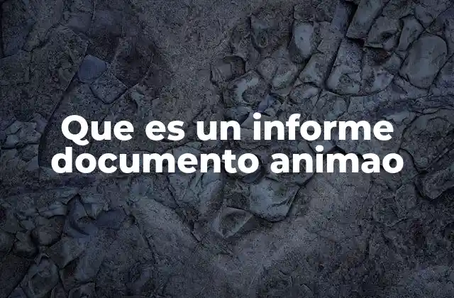 Que es un Informe Documento Animao