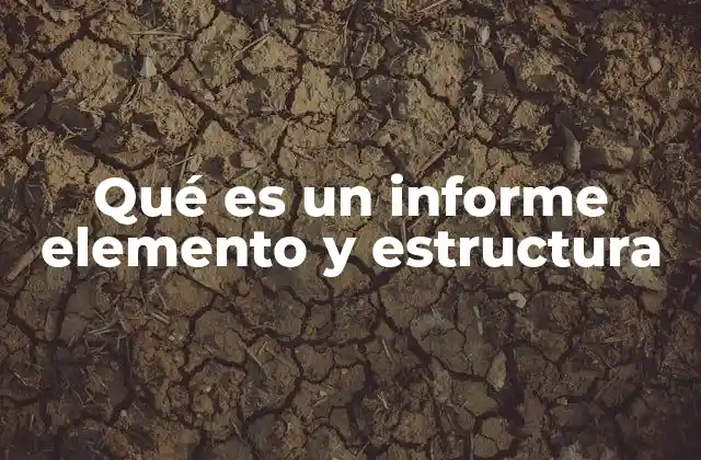 Qué es un Informe Elemento y Estructura