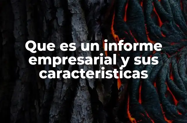 Que es un Informe Empresarial y Sus Caracteristicas
