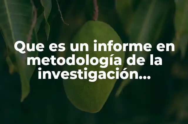 Que es un Informe en Metodología de la Investigación Hernandez Sampieri