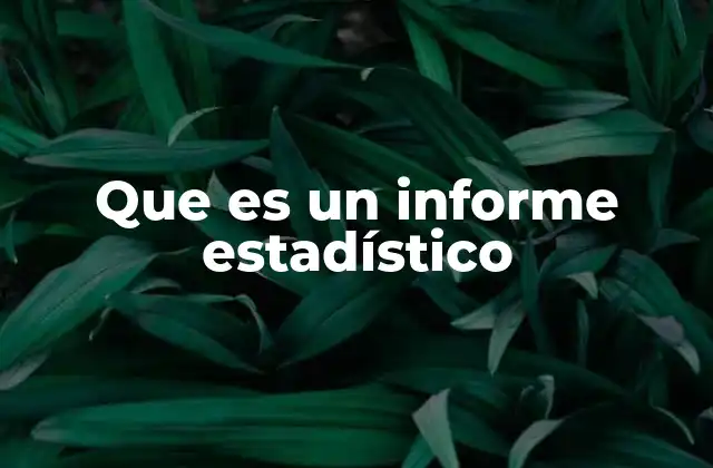 Que es un Informe Estadístico