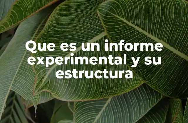 Que es un Informe Experimental y Su Estructura