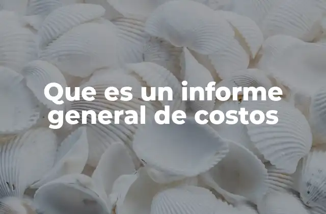 Que es un Informe General de Costos