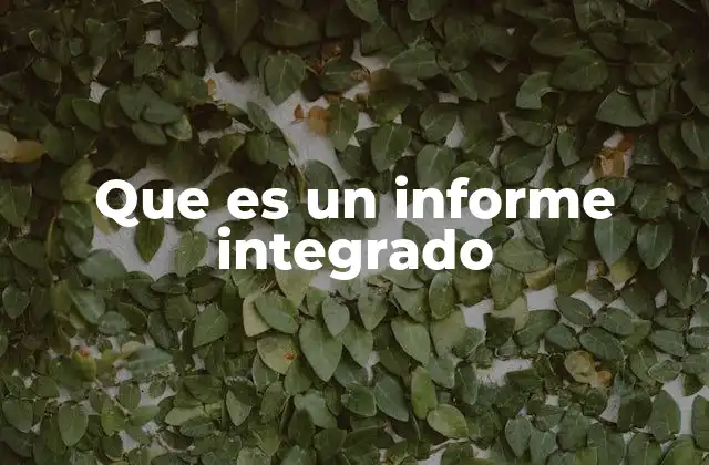 Que es un Informe Integrado