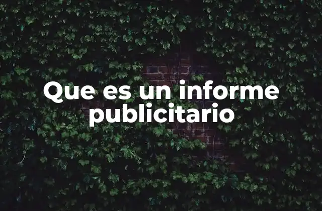 Que es un Informe Publicitario
