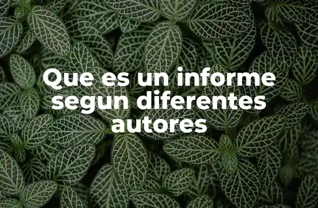 Que es un Informe Segun Diferentes Autores