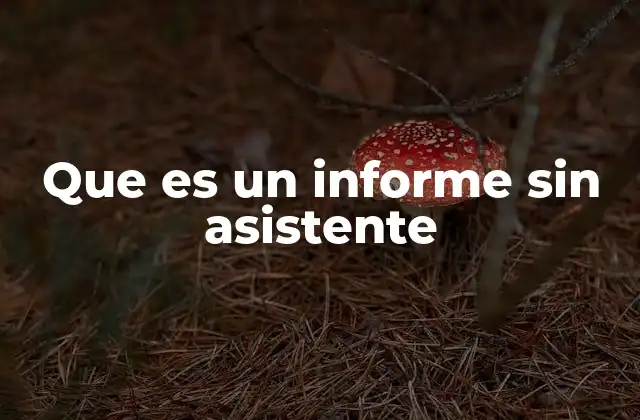 La importancia de los informes sin asistente en la toma de decisiones