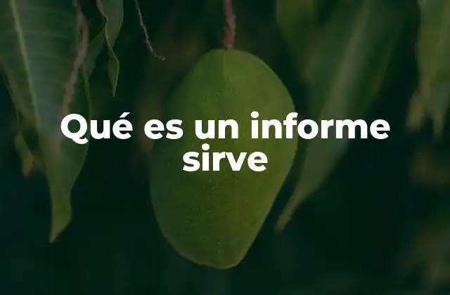 Qué es un Informe Sirve