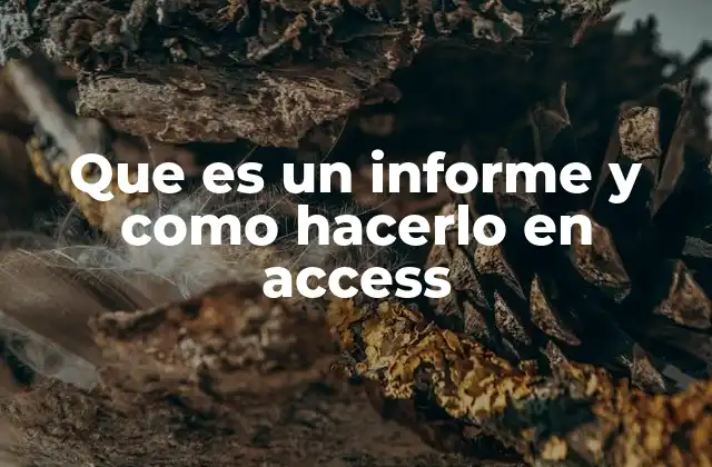 Que es un Informe y como Hacerlo en Access