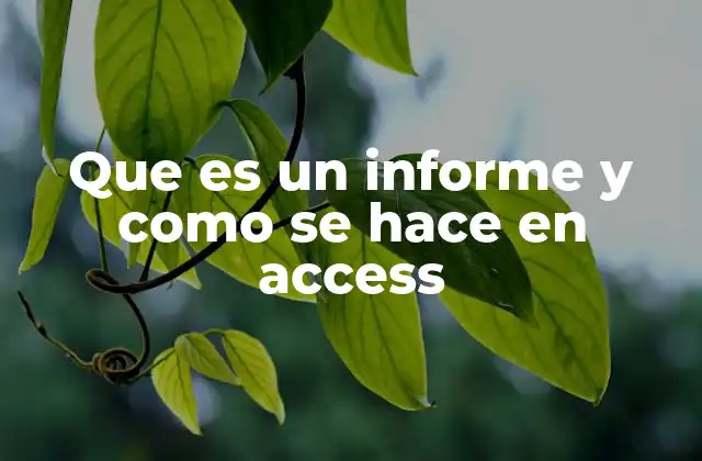 Que es un Informe y como Se Hace en Access