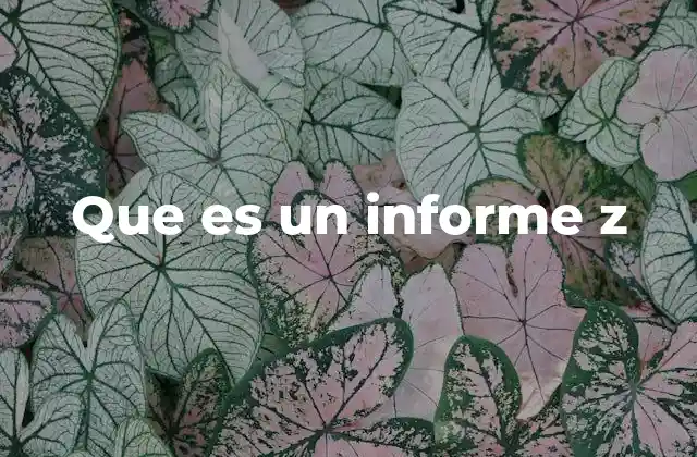Que es un Informe Z