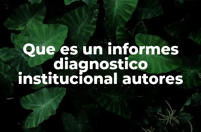 El rol de los autores en la elaboración del informe diagnóstico institucional