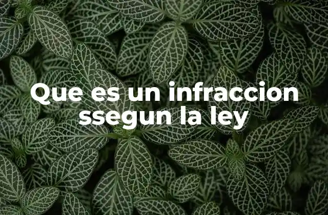 Que es un Infraccion Ssegun la Ley