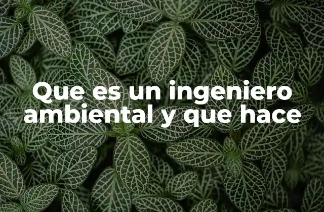 Que es un Ingeniero Ambiental y que Hace