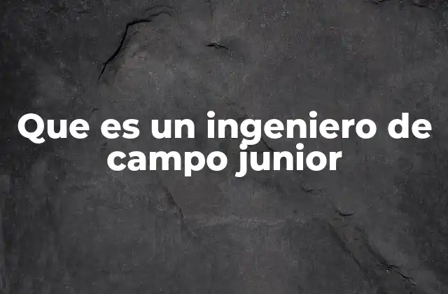 Que es un Ingeniero de Campo Junior
