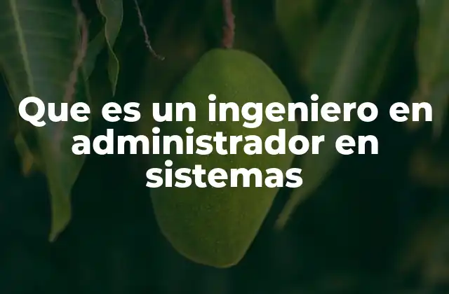 Que es un Ingeniero en Administrador en Sistemas
