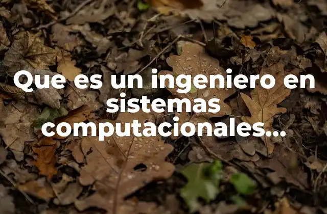 Que es un Ingeniero en Sistemas Computacionales Campo de Accion