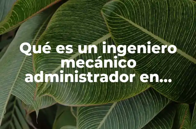 Qué es un Ingeniero Mecánico Administrador en México