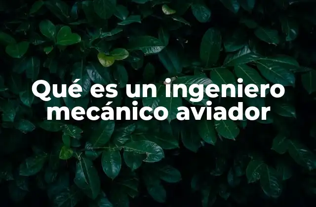 Qué es un Ingeniero Mecánico Aviador
