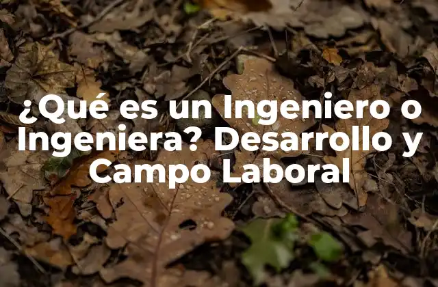 ¿qué es un Ingeniero o Ingeniera? Desarrollo y Campo Laboral