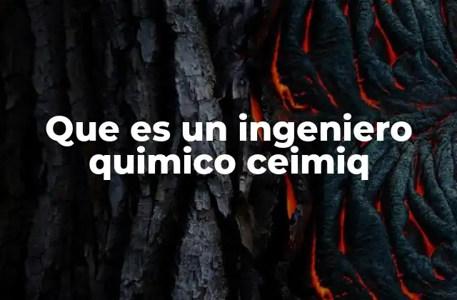 Que es un Ingeniero Quimico Ceimiq