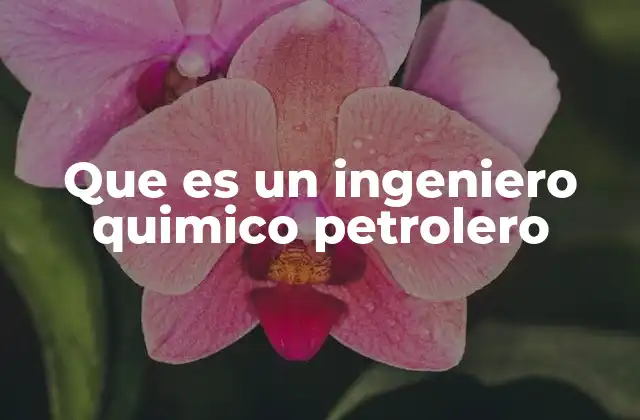 Que es un Ingeniero Quimico Petrolero