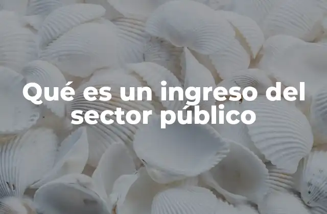 Qué es un Ingreso Del Sector Público