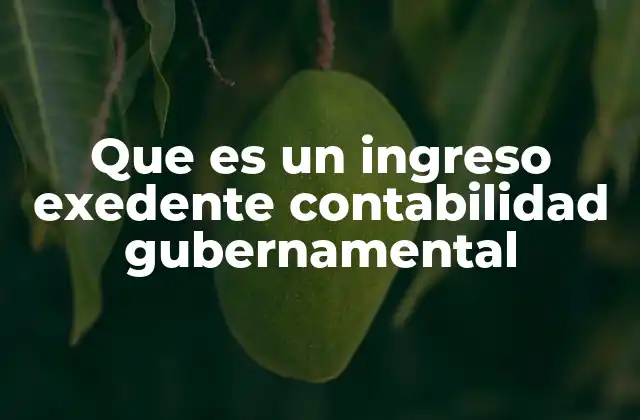 Que es un Ingreso Exedente Contabilidad Gubernamental