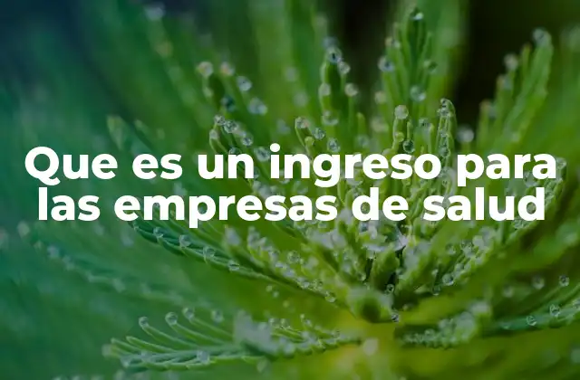 Que es un Ingreso para las Empresas de Salud