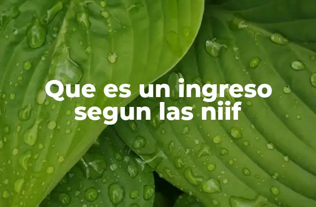 Que es un Ingreso Segun las Niif