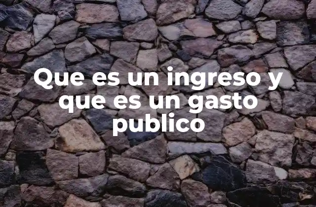 Que es un Ingreso y que es un Gasto Publico