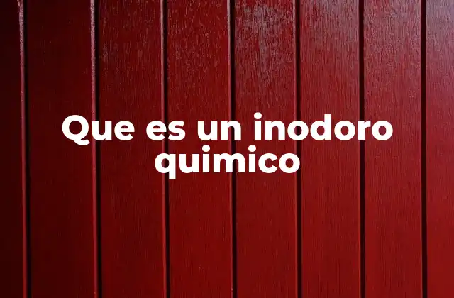 Que es un Inodoro Quimico