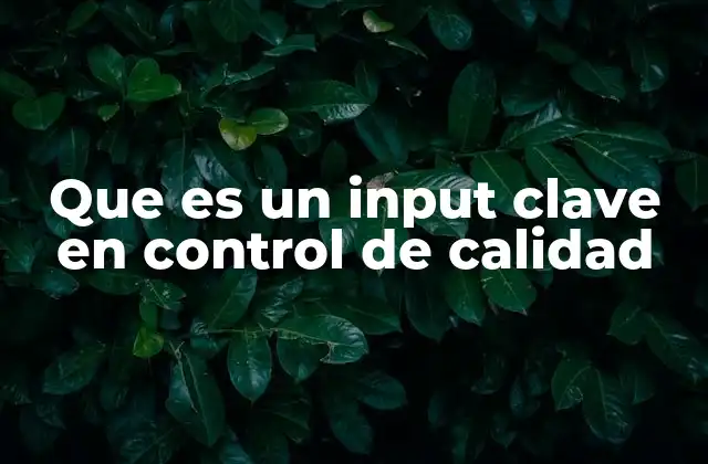 Que es un Input Clave en Control de Calidad