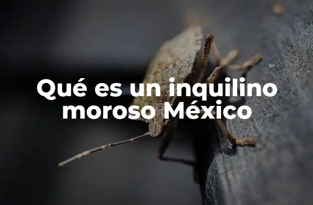 Qué es un Inquilino Moroso México