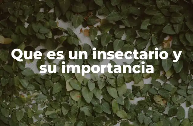 Que es un Insectario y Su Importancia 2 El papel de los insectarios en la ciencia moderna