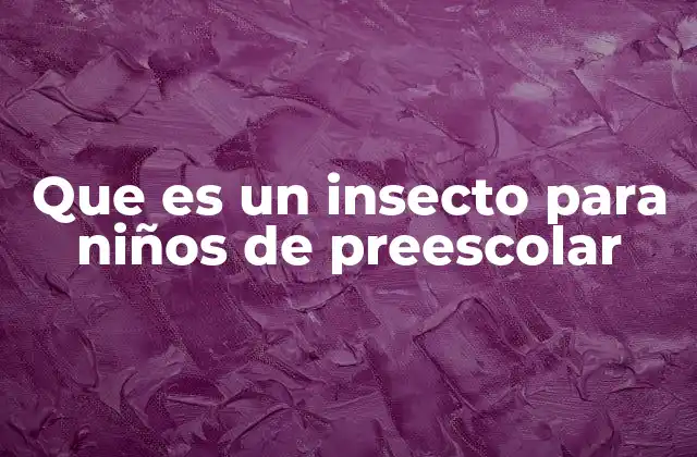 La importancia de conocer a los insectos desde la niñez