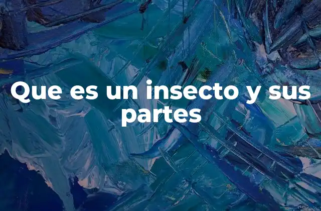 Que es un Insecto y Sus Partes