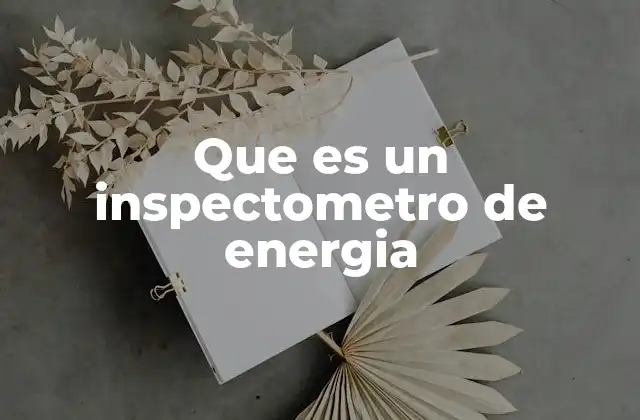 Que es un Inspectometro de Energia