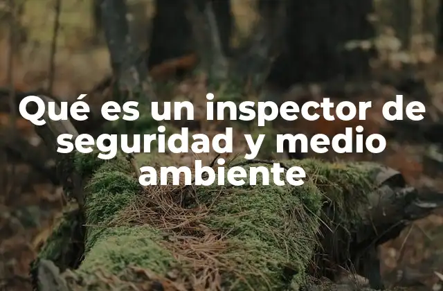 Qué es un Inspector de Seguridad y Medio Ambiente
