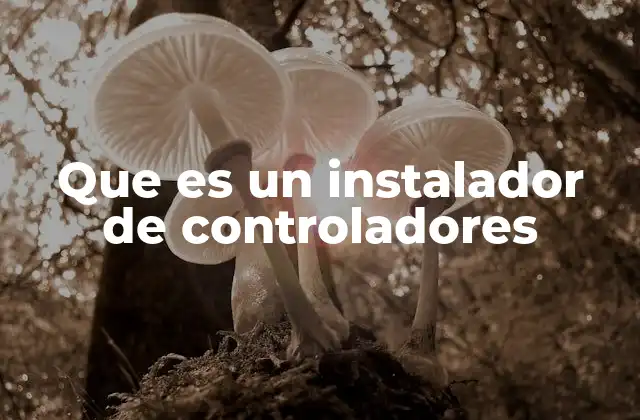 Que es un Instalador de Controladores