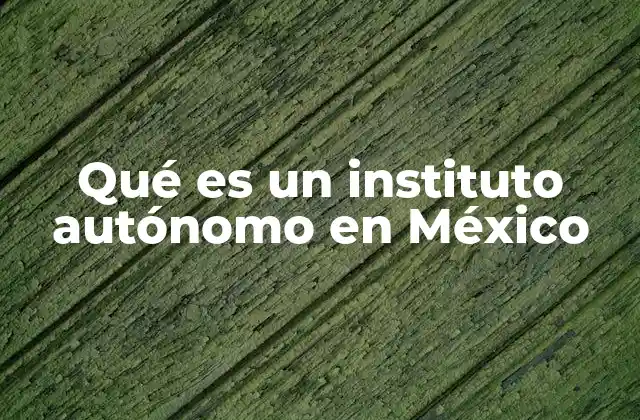 Qué es un Instituto Autónomo en México