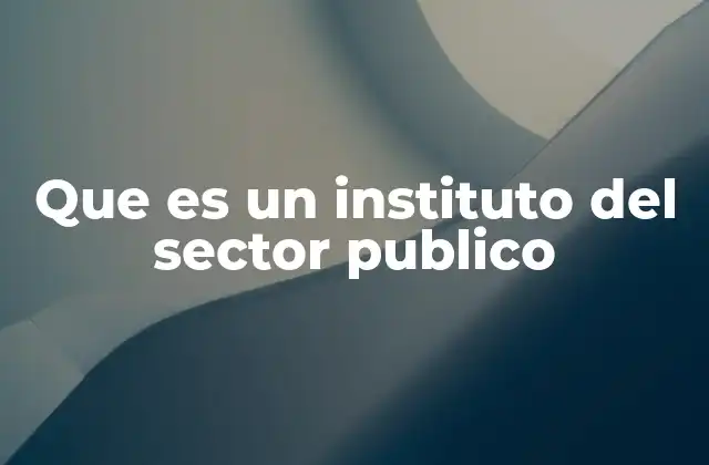 Que es un Instituto Del Sector Publico