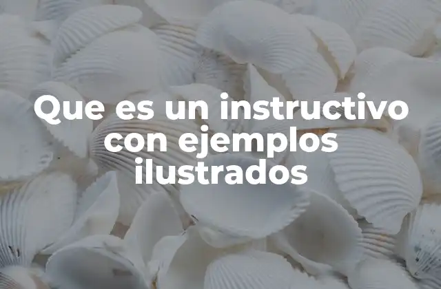 La importancia de las imágenes en la comprensión de los instructivos