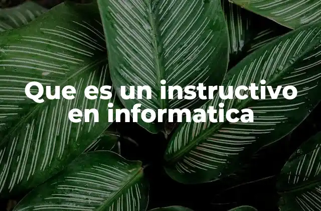 La importancia de los instructivos en el entorno digital