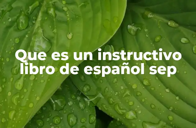 Que es un Instructivo Libro de Español Sep