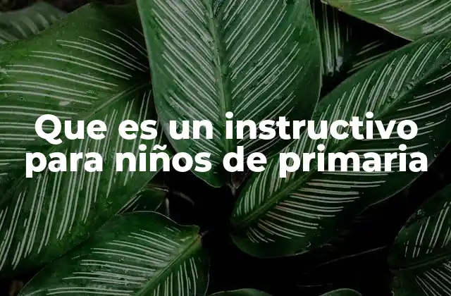 La importancia de los instructivos en la educación primaria