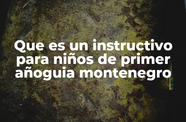 Que es un Instructivo para Niños de Primer Añoguia Montenegro