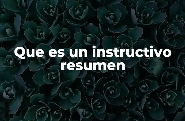 Que es un Instructivo Resumen