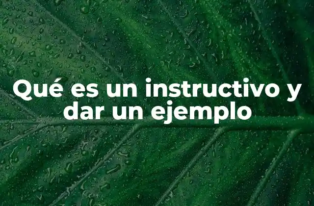 Qué es un Instructivo y Dar un Ejemplo