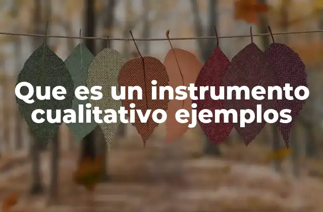 Que es un Instrumento Cualitativo Ejemplos